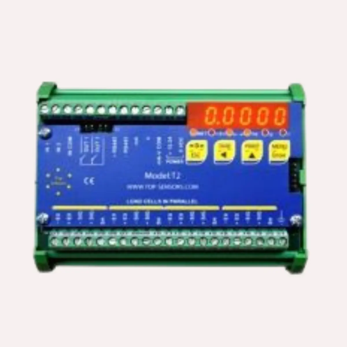 picture of a digital weighing scale indicator controller